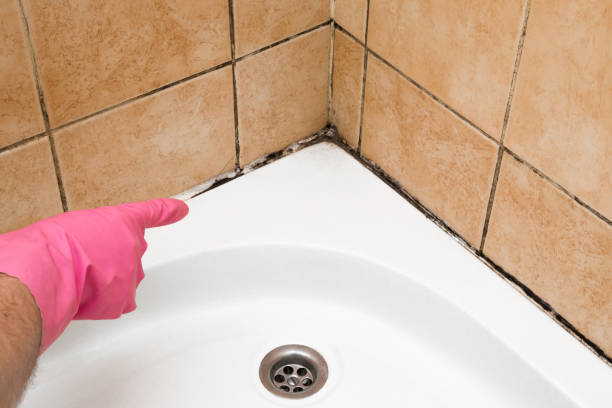 Best Fast Mold Removal  in Earlham, IA